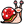 BINGO Snail Spring 2024